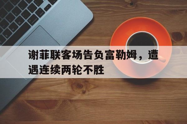 谢菲联客场告负富勒姆，遭遇连续两轮不胜的简单介绍
