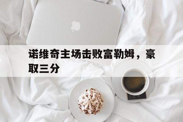 诺维奇主场击败富勒姆，豪取三分