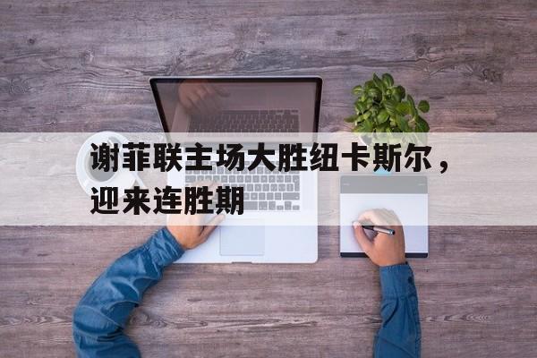谢菲联主场大胜纽卡斯尔，迎来连胜期的简单介绍